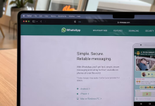 【收藏必备】Web安全完全指南：从上网到开发，小白也能掌握的防护技巧-网硕互联帮助中心
