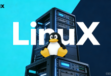 【Linux】Linux 系统的目录结构详解-网硕互联帮助中心