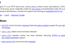 2026 年九大最佳开源 Web 服务器盘点-网硕互联帮助中心
