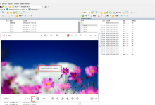 查看服务器上的图片是不是让你很难受-网硕互联帮助中心