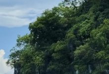 PrintPage 打印 绿色版发票打印工具 批量打印 多维度设置更实用-网硕互联帮助中心