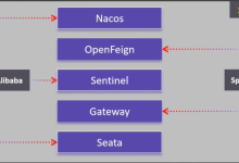 nacos-注册中心-服务注册-网硕互联帮助中心