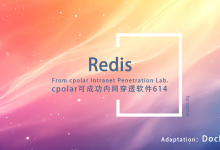 Redis+cpolar，高效、自由的数据访问方法-网硕互联帮助中心