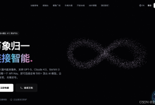 LLM API Gateway: DeepSeek V3 & Llama 3 API 推理避坑指南：自建 vLLM 集群 vs AI API Gateway 架构深度对比-网硕互联帮助中心