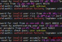 Ubuntu 服务器安全加固：配置 SSH 密钥登录并禁止密码爆破-网硕互联帮助中心