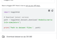 如何在服务器上用kagglehub下载kaggle数据集-网硕互联帮助中心