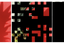 从像素到组件:用于视觉表征学习的特征向量掩蔽-网硕互联帮助中心