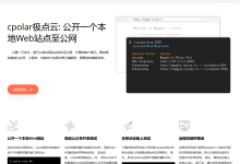 韦奇-cpolar-内网穿透-网硕互联帮助中心