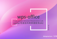 用cpolar摆脱局域网！Linux 服务器上的 WPS 这样用才高效-网硕互联帮助中心