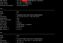 ISIF-COP香港服务器，启用OPENPPP2 VMUX全双工-网硕互联帮助中心