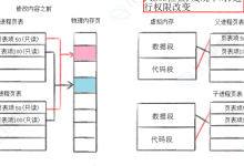 Linux 18 进程控制-网硕互联帮助中心