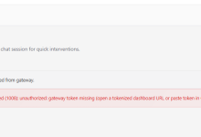 frp macbook 的18789到 公网服务器上，访问报错：disconnected (1008): unauthorized:-网硕互联帮助中心