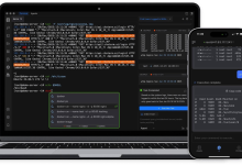 Chaterm — 开源SRE副驾驶，让你与服务器直接对话！-网硕互联帮助中心