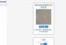 基于深度学习的糖尿病视网膜病变诊断系统[python]-计算机毕业设计源码+LW文档-网硕互联帮助中心
