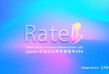 内网穿透的应用-Ratel 斗地主服务器 + cpolar内网穿透，随时随地组局玩-网硕互联帮助中心