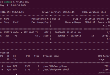 搭建个人深度学习服务器（Ubuntu24.04+VSCode+SSH）-网硕互联帮助中心