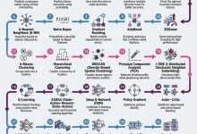 30 个 AI 核心算法全景：数据科学家的能力导航图-网硕互联帮助中心