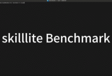 Skilllite 性能对比分析 - AI agent 沙箱技术方案选型-网硕互联帮助中心