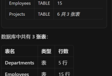 .NET 开发 MCP 服务器完全指南：打造智能数据库查询助手-网硕互联帮助中心