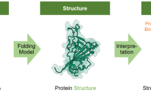 生成式科学智能的新标杆：IntelliFold 2新近发布并开源，主要指标实现全面领先-网硕互联帮助中心
