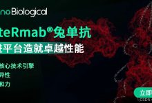 EliteRmab®兔单抗的生产制备策略：三大核心技术引擎介绍-网硕互联帮助中心