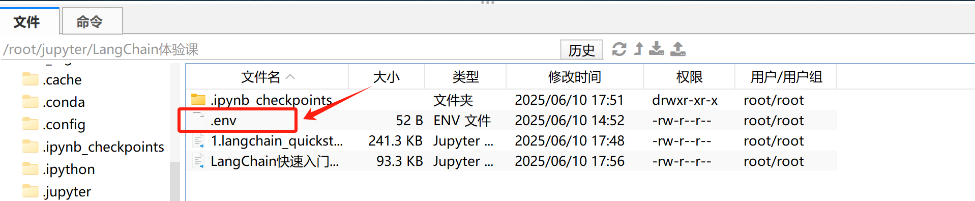 image-20250610175750011