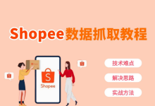 2026 Shopee数据抓取逐步教程：技术难点、解决思路与实战方法-网硕互联帮助中心