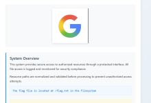 [破阵阁・网安淬锋公开赛 决赛] Secure File Viewer WP-网硕互联帮助中心