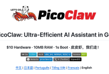 原生中文 + 全离线 + 极简部署，PicoClaw 让 OpenClaw/NanoBot 瞬间不香了-网硕互联帮助中心