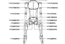宇树H1人形机器人强化学习控制RL例程复现-网硕互联帮助中心