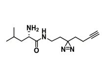 3076289-31-8，Leucine-Diazirine-Alkyne：含炔基双吖丙啶亮氨酸 点击化学-光交联双功能探针-网硕互联帮助中心