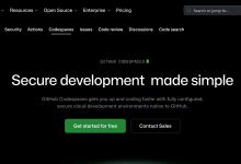 Github/codespaces开发环境-网硕互联帮助中心