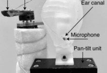 人工智能应用- 听声辨位：04. 仿生耳朵-网硕互联帮助中心