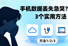 手机数据丢失怎么办？3 个 “救命”方法，方便操作高效找回！-网硕互联帮助中心