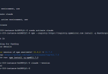 如何在服务器使用ClaudeCode-网硕互联帮助中心