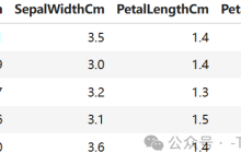 Python数据分析：分析鸢尾花种类数据项目实战-网硕互联帮助中心