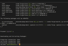 服务器上部署大模型(ubuntu24.04.3)-网硕互联帮助中心