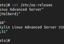 【银河麒麟服务器】银河麒麟操作系统 V10 SP3 中离线安装 Docker全指南-网硕互联帮助中心