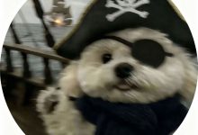 【Linux网络】从零构建高性能UDP服务器:从Echo到英译汉业务级实现-网硕互联帮助中心