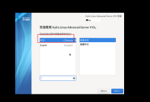 信创实战:银河麒麟 V10 服务器安装、网络配置与 Docker 环境搭建-网硕互联帮助中心