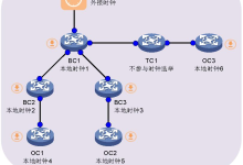 PTP IEEE1588 时钟服务器详解-网硕互联帮助中心