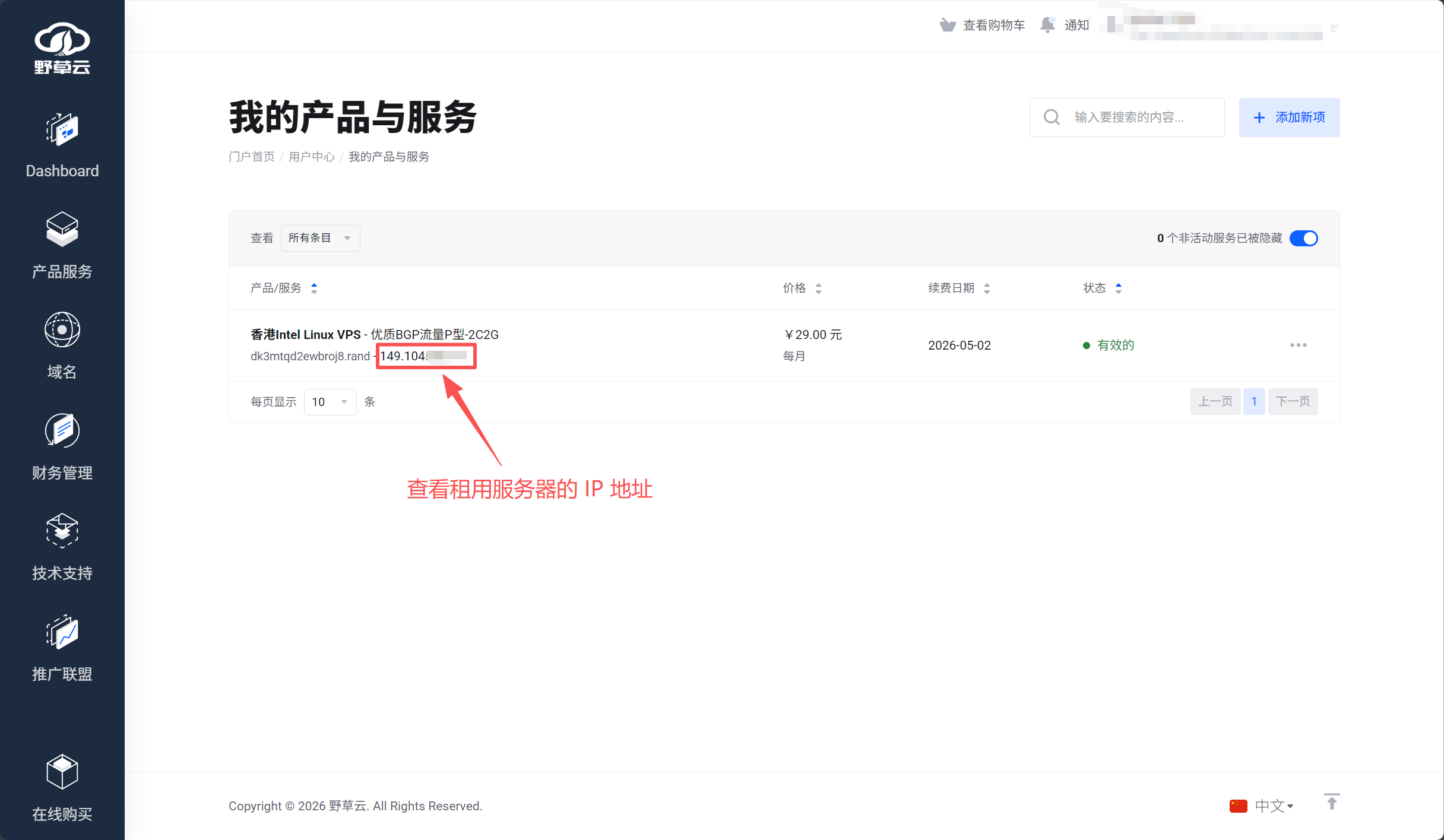 查看公网代理服务器的 IP 地址