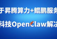 基于昇腾算力+鲲鹏服务器实现国产化环境的OpenClaw高效应用，解锁AI自动化新体验-网硕互联帮助中心