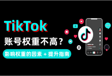 TikTok权重不高怎么办？影响账号权重的关键因素 + 实操提升指南-网硕互联帮助中心