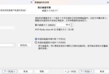 (阿里镜像站服务不可下载)如何下载并安装 Rocky Linux 9.8 服务器版? (同时附赠 VMware 17.5.2 下载网盘,Xshell Xftp稳定下载网址,桌面版Linux创建教程)-网硕互联帮助中心