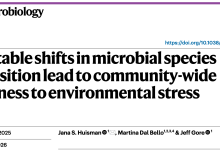 Nature Microbiology|微生物群落组成的可预测偏移赋予群落对环境胁迫的鲁棒性-网硕互联帮助中心