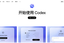 Codex桌面端接入国内模型-网硕互联帮助中心