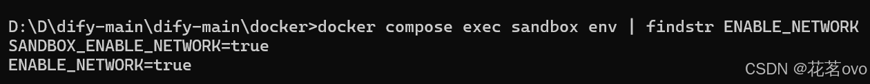 在这里插ENABLE_NETWORK=true入图片描述