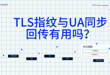 真实 TLS 指纹与 UA 同步回传 TLSFOWARD TLS指纹-网硕互联帮助中心