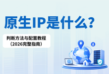 原生IP是什么？判断方法与配置教程（2026完整指南）-网硕互联帮助中心